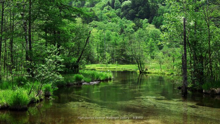Free download Nature Backgrounds wallpaper 68773 [1920x1080] for your 