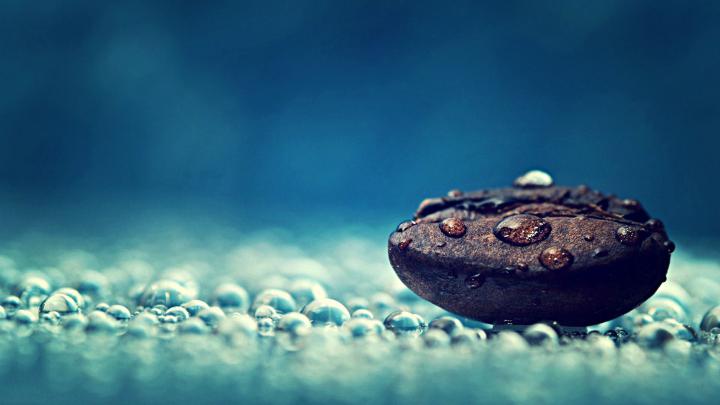 Free download Coffee Bean HD Wallpaper FullHDWpp Full HD Wallpapers 