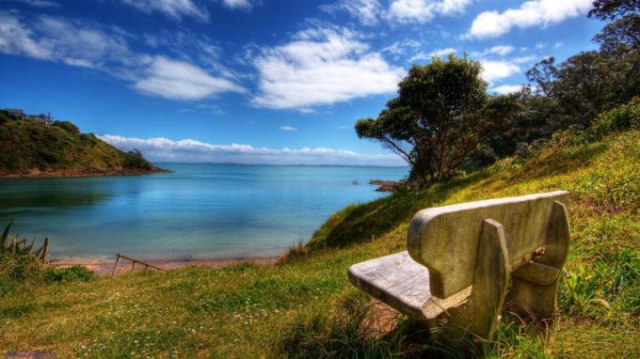 Free download 25 Beautiful Flowers Full HD Wallpapers 1920X1080 