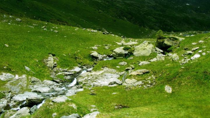 Free download Incredible Nature Full HDTV Wallpapers 1920x1080 41 
