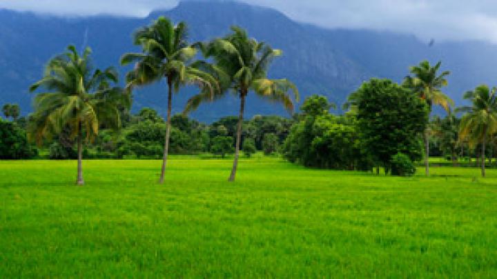 Download Kerala Wallpapers Gallery