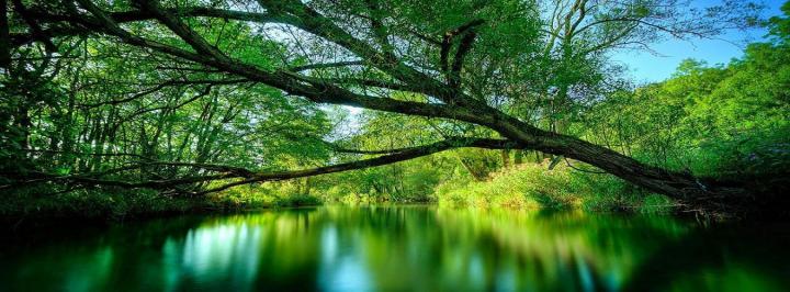 Kerala Tour Package 6 N\/ 7 D | Nature desktop wallpaper, Desktop 