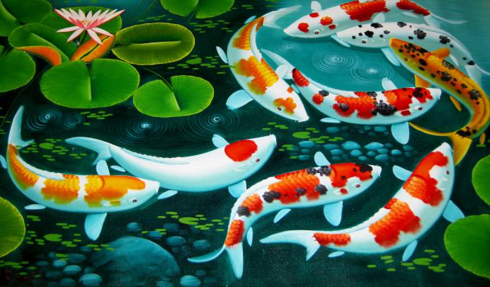 HD Koi Fish Wallpaper (54+ images)
