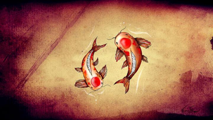 Koi Fish Backgrounds
