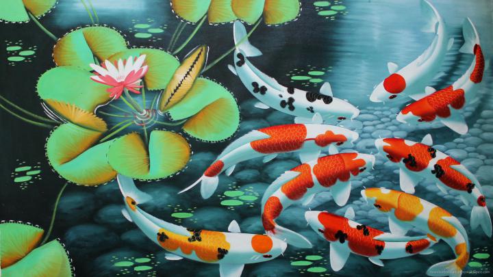 Koi Fish Wallpapers \u00b7\u2460 