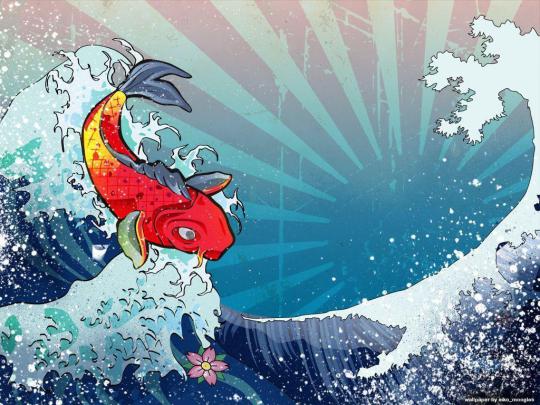Koi Fish Backgrounds