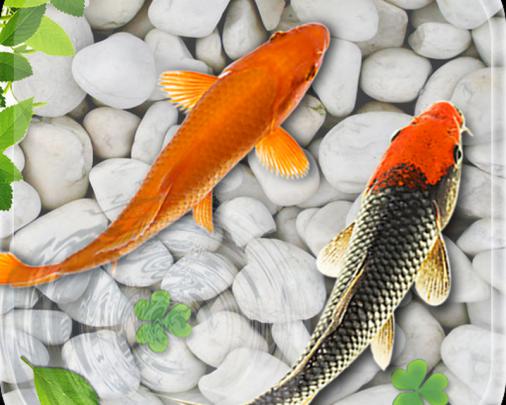 Fish Live Wallpaper 2018: Aquarium Koi Backgrounds APK - Free download 