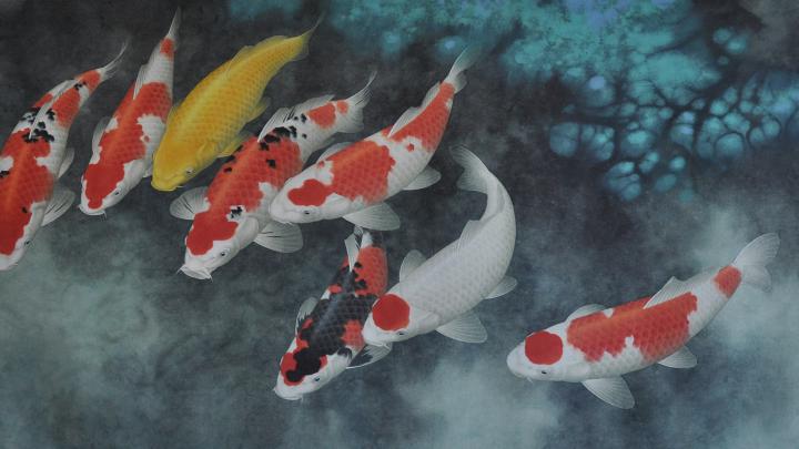 Koi Fish Wallpaper (59+ images)