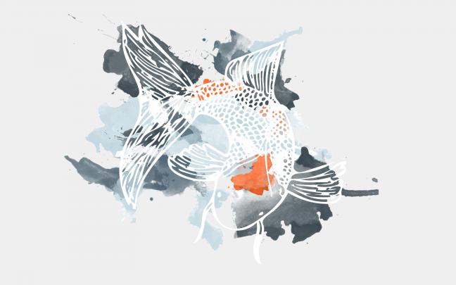 Koi Fish Wallpaper (59+ images)