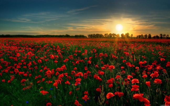 HD Wallpaper for PC Full Screen (75+ images)