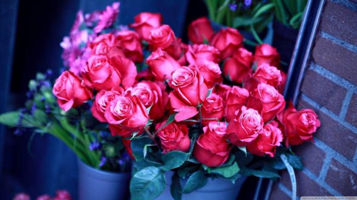 Full Screen HD Wallpapers