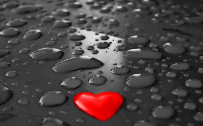 Romantic Wallpapers HD | Free HD Wallpapers
