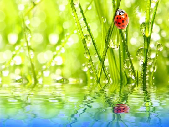 nature Wallpapers HD \/ Desktop and Mobile Backgrounds