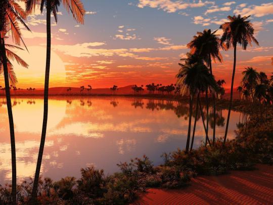 Tamil Nadu Wallpapers