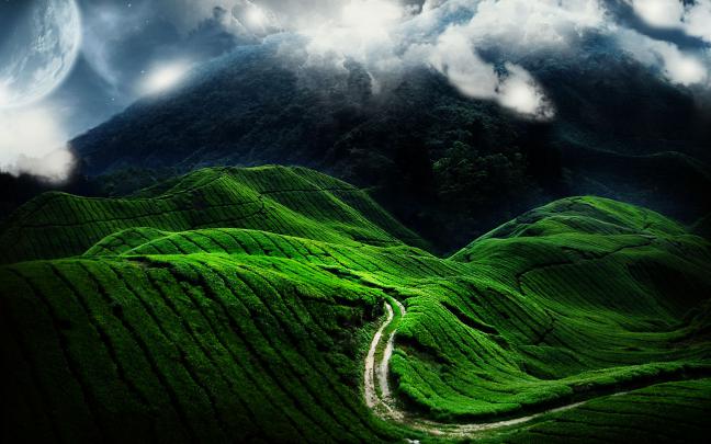Nature s HD wallpaper | 1680x1050 | #39256