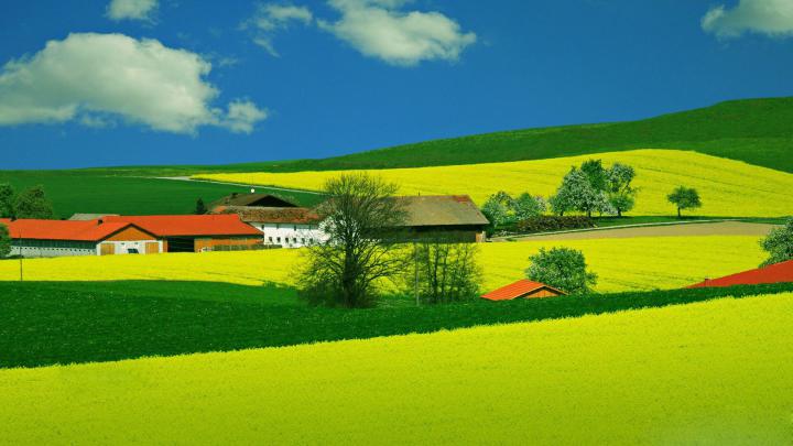 Summer Nature Wallpaper \u00b7\u2460 