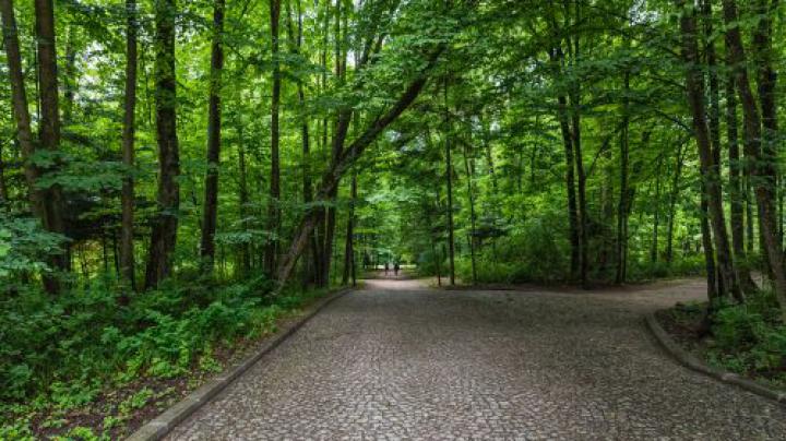 Beautiful Nature Wallpaper Big Size #20 with \u0141azienki Park in Poland 