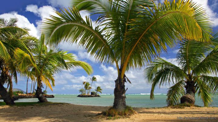 kerala beach Free HD Desktop Wallpaper - windows 10 Wallpapers