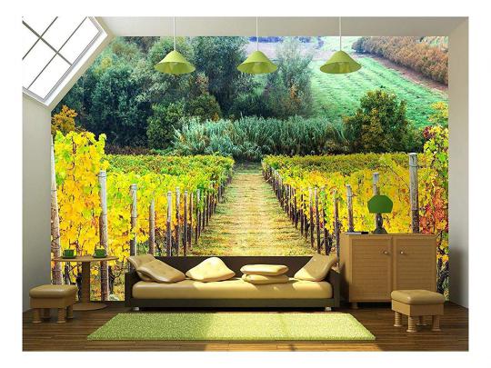 wall26 - Beautiful Autumn Landscape with Vineyards. Tuscany, Italy 