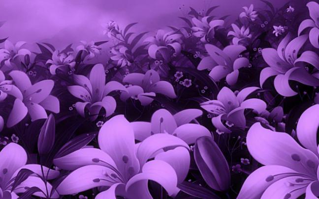 cool purple wallpaper - HD Desktop Wallpapers