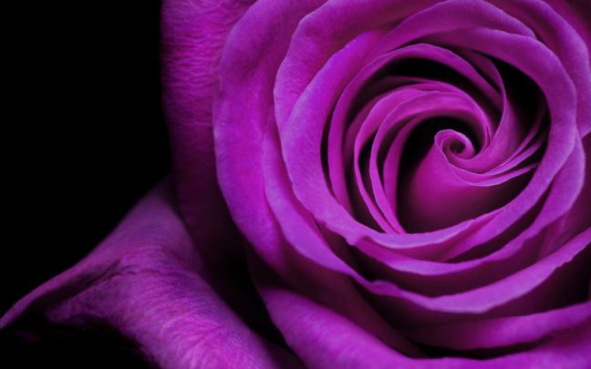 dark purple wallpaper | HD Desktop Wallpapers