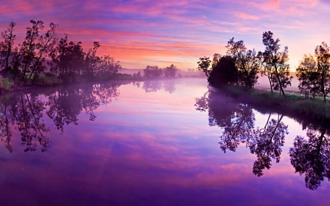 Purple Desktop Wallpapers (68+ background pictures)