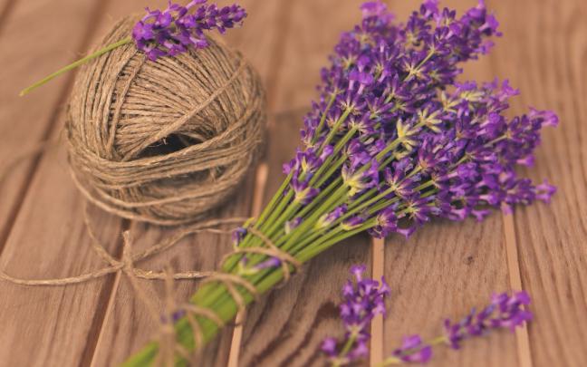lavender wallpaper border - HD Desktop Wallpapers