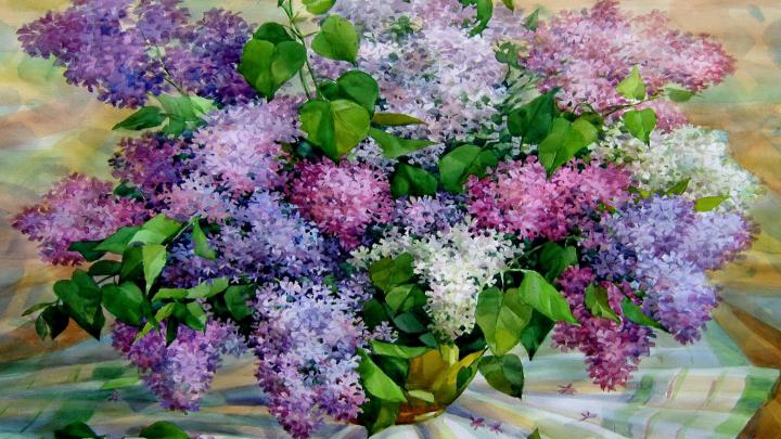 Fresh Lilac HD desktop wallpaper : Widescreen : High Definition 