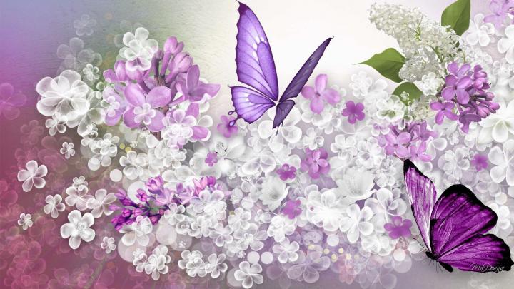Lilac Wallpapers