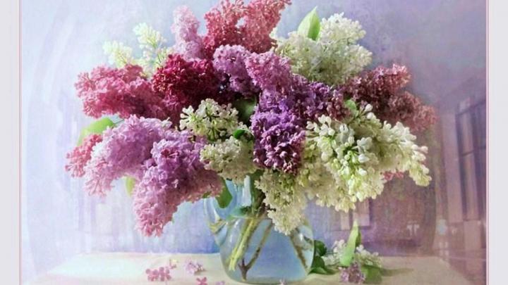 Wallpaper for Desktop Lilacs -