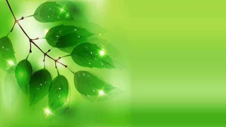 Lime Green Desktop Backgrounds | HD Wallpapers, Backgrounds, Images 
