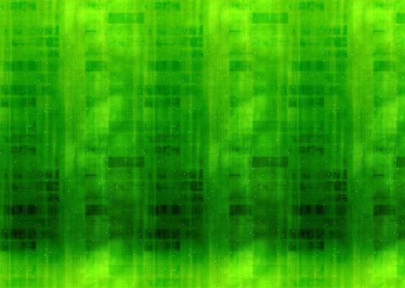 Lime Green Backgrounds
