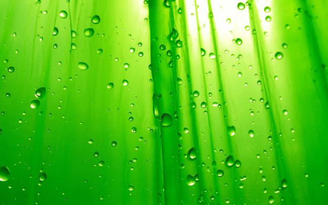 Lime Green Backgrounds (54+ images)