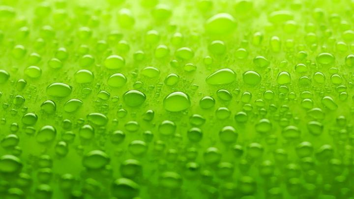 HD Lime Green Backgrounds - 2021 Cute Wallpapers