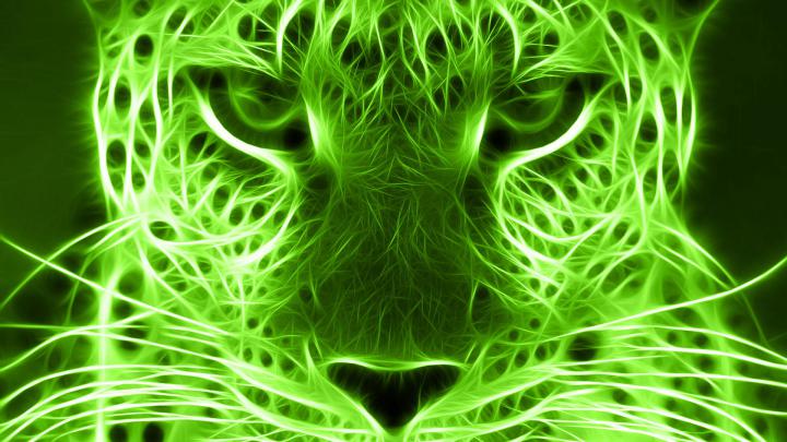 Lime Green Wallpapers HD