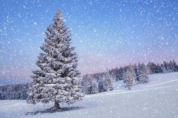 Snow Fall Wallpapers - Top Free Snow Fall Backgrounds - WallpaperAccess