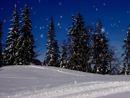 Falling Snow Wallpapers Background -