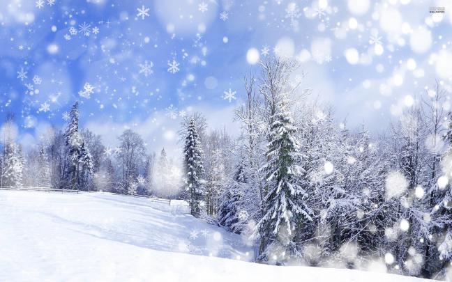 Animated Snow Falling Wallpaper (60+ images)