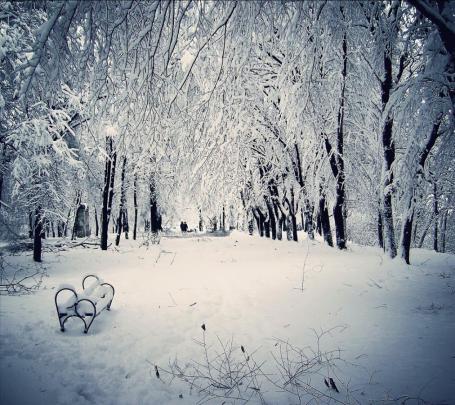 [50+] Live Falling Snow Desktop Wallpaper 
