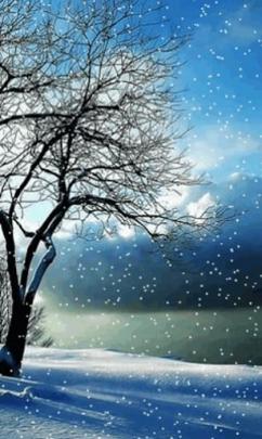 Live Falling Snow Desktop Wallpaper -