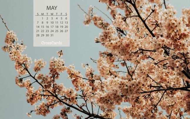 Beautiful May Desktop \u0026 Mobile Wallpaper - Free Backgrounds