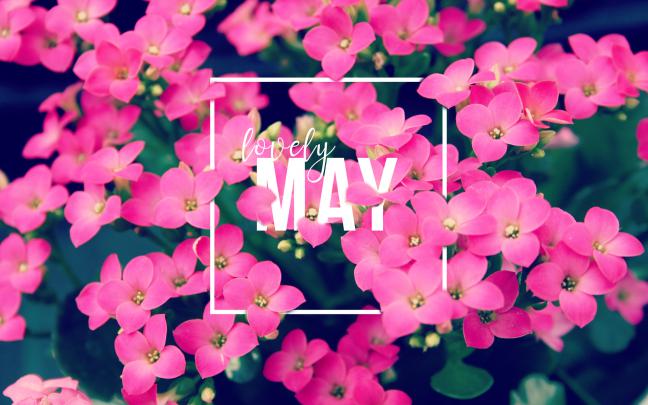 May 2017 \u2013 Wallpaper Love