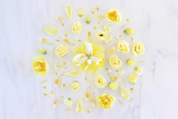 DIGITAL BLOOMS MAY 2017 | FREE DESKTOP WALLPAPERS - JustineCelina 