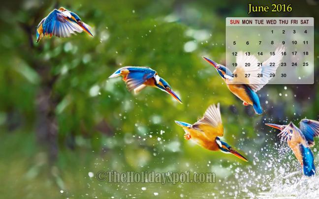 [50+] Calendar Wallpaper 2016 