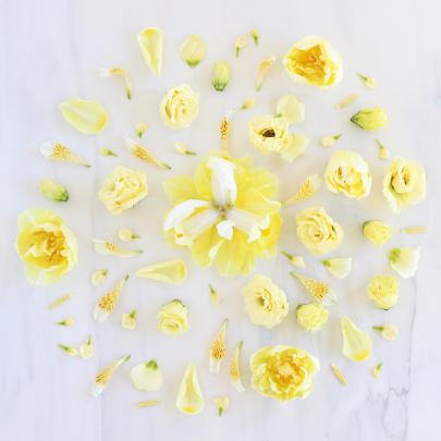 DIGITAL BLOOMS MAY 2017 | FREE DESKTOP WALLPAPERS - JustineCelina