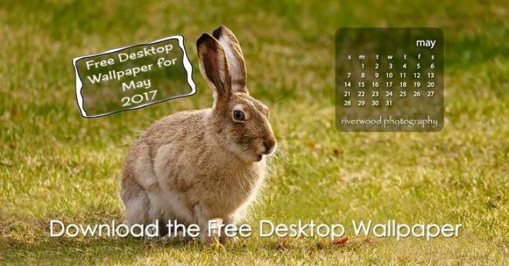 Free Desktop Wallpaper for May 2017 - This month\u0026#39;s calendar image 