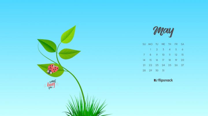 Freebie: May 2017 wallpaper calendar