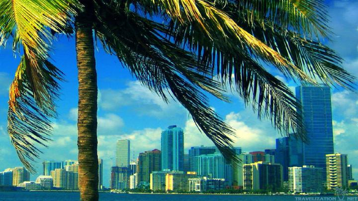 Miami Desktop Wallpaper \u00b7\u2460 