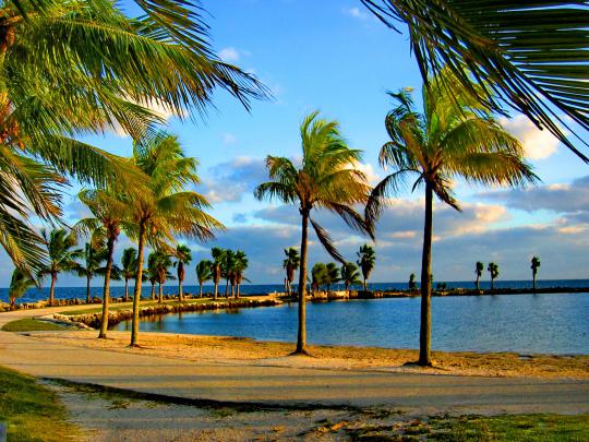 Miami Wallpapers: The City Skyline Across The Beach