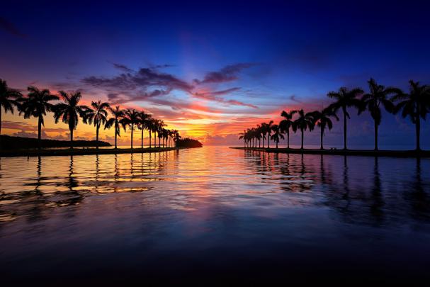 beach, Bridge, Cities, Florida, Marina, Miami, Monuments, Night 